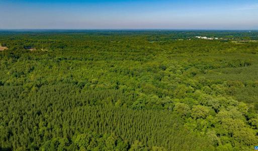 Photo #18 of Lot 1 STAG RD, BREMO BLUFF, VA 16.6 acres