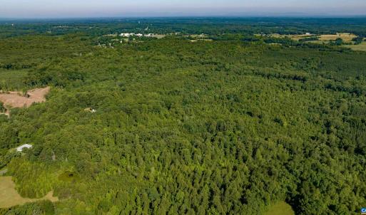 Photo #9 of Lot 1 STAG RD, BREMO BLUFF, VA 16.6 acres