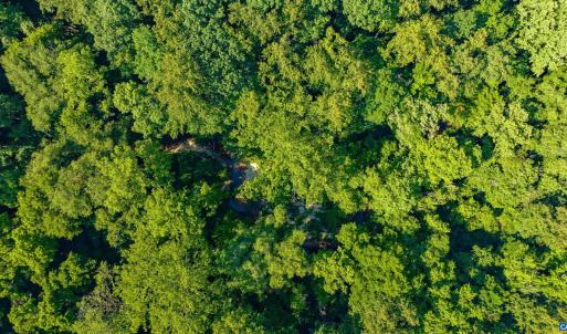 Photo #6 of Lot 1 STAG RD, BREMO BLUFF, VA 16.6 acres