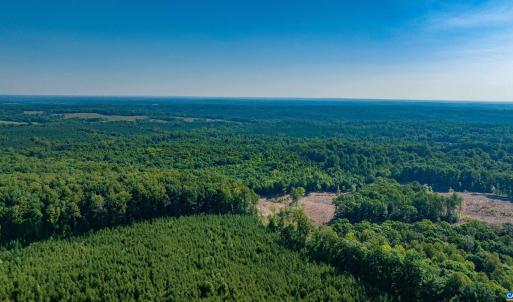 Photo #17 of Lot 1 STAG RD, BREMO BLUFF, VA 16.6 acres
