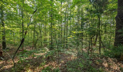 Photo #4 of Lot 1 STAG RD, BREMO BLUFF, VA 16.6 acres