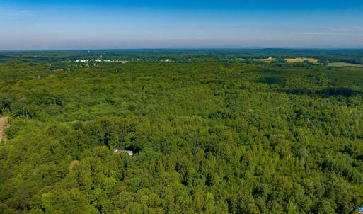 Photo #11 of Lot 1 STAG RD, BREMO BLUFF, VA 16.6 acres