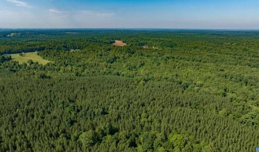 Photo #13 of Lot 1 STAG RD, BREMO BLUFF, VA 16.6 acres