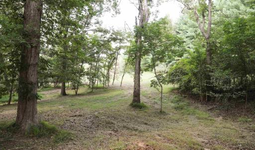 Photo #5 of TBD MORRIS MILL RD, STAUNTON, VA 4.7 acres