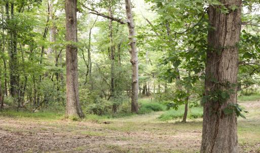 Photo #6 of TBD MORRIS MILL RD, STAUNTON, VA 4.7 acres