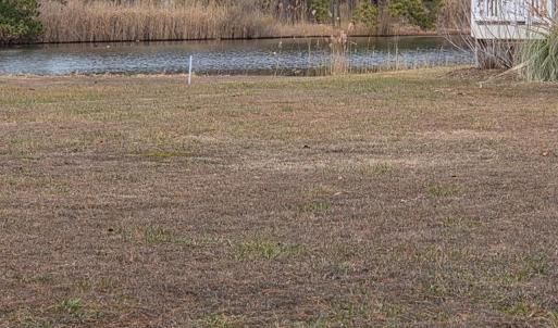 Photo #10 of LOT 205 HIBISCUS DR, CHINCOTEAGUE, VA 12.0 acres