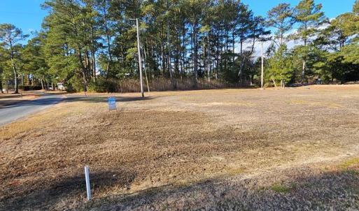 Photo #2 of LOT 205 HIBISCUS DR, CHINCOTEAGUE, VA 12.0 acres