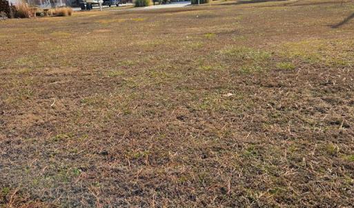 Photo #9 of LOT 205 HIBISCUS DR, CHINCOTEAGUE, VA 12.0 acres