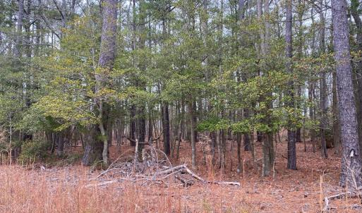 Photo #10 of lot 9 WISE POINT LN, ONANCOCK, VA 13.3 acres