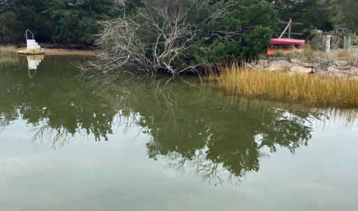 Photo #6 of lot 9 WISE POINT LN, ONANCOCK, VA 13.3 acres