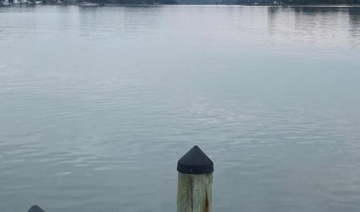 Photo #7 of lot 9 WISE POINT LN, ONANCOCK, VA 13.3 acres