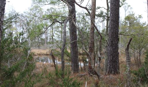 Photo #8 of lot 9 WISE POINT LN, ONANCOCK, VA 13.3 acres