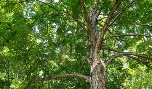 Photo #32 of TBD HANKEY MOUNTAIN HWY, CHURCHVILLE, VA 2.3 acres