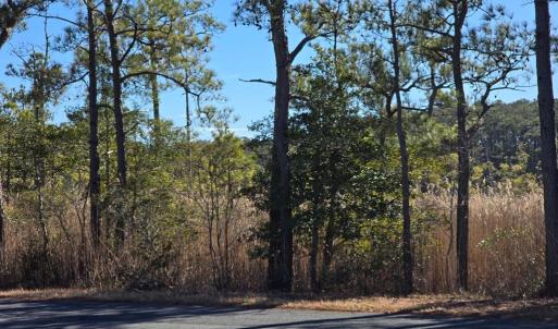 Photo #7 of 1 BLACK MALLARD WAY, ONANCOCK, VA 0.5 acres