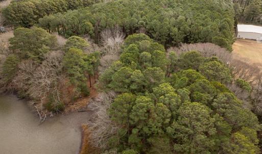 Photo #12 of Lot 23 CHESAWADOX DR, JAMESVILLE, VA 2.7 acres