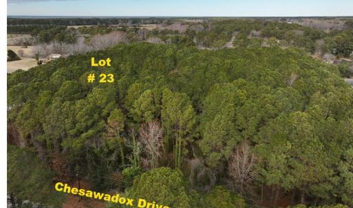 Photo #2 of Lot 23 CHESAWADOX DR, JAMESVILLE, VA 2.7 acres