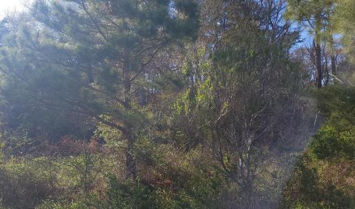 Photo #2 of Lot 7 LIBERTY DR, MAPPSVILLE, VA 4.5 acres
