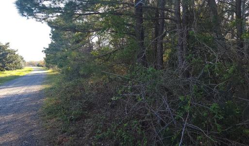 Photo #7 of Lot 7 LIBERTY DR, MAPPSVILLE, VA 4.5 acres