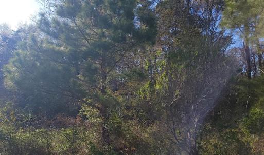 Photo #8 of Lot 7 LIBERTY DR, MAPPSVILLE, VA 4.5 acres