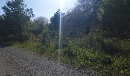 Photo #9 of Lot 7 LIBERTY DR, MAPPSVILLE, VA 4.5 acres