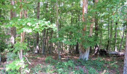 Photo #4 of JAMES RIVER RD, WINGINA, VA 3.3 acres