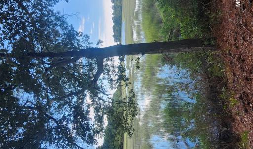 Photo #15 of 7472 SEASIDE RD, CAPE CHARLES, VA 25.1 acres