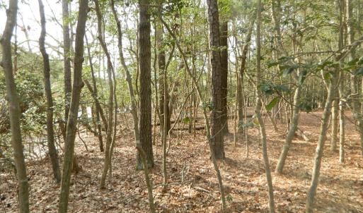 Photo #12 of Lot 182 HERON DR, MACHIPONGO, VA 0.7 acres