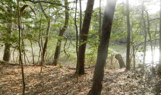 Photo #7 of Lot 182 HERON DR, MACHIPONGO, VA 0.7 acres
