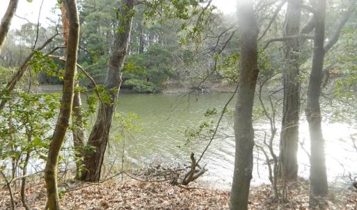 Photo #8 of Lot 182 HERON DR, MACHIPONGO, VA 0.7 acres