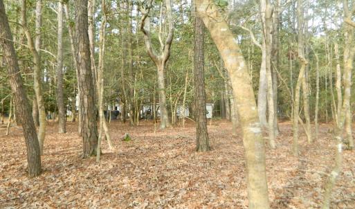 Photo #10 of Lot 182 HERON DR, MACHIPONGO, VA 0.7 acres