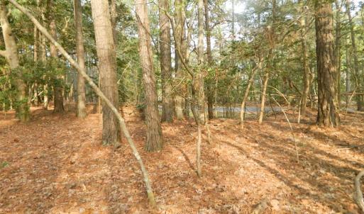 Photo #11 of Lot 182 HERON DR, MACHIPONGO, VA 0.7 acres