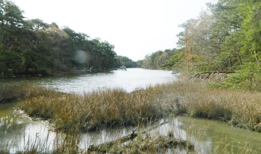 Photo #17 of Lot 182 HERON DR, MACHIPONGO, VA 0.7 acres