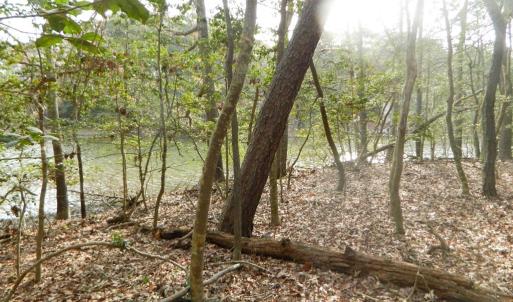 Photo #2 of Lot 182 HERON DR, MACHIPONGO, VA 0.7 acres