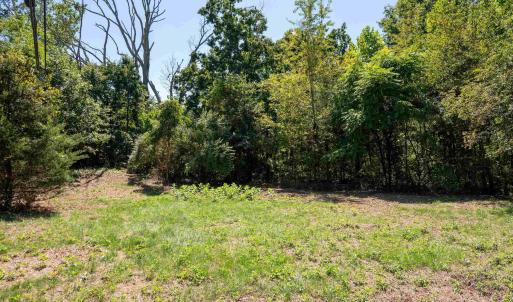 Photo #10 of 2062 EAST SIDE HWY, CRIMORA, VA 7.8 acres