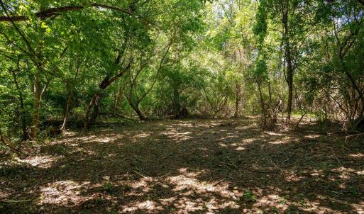 Photo #13 of 2062 EAST SIDE HWY, CRIMORA, VA 7.8 acres