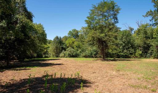 Photo #11 of 2062 EAST SIDE HWY, CRIMORA, VA 7.8 acres