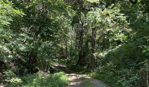 Photo #2 of 6 OLD MOUNTAIN RD, STANARDSVILLE, VA 5.5 acres