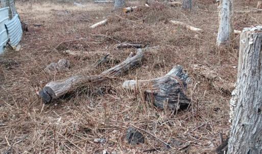 Photo #3 of Lot SHERWOOD DR, BLOXOM, VA 1.0 acres