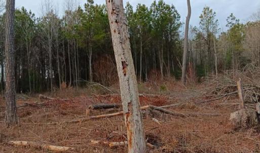 Photo #4 of Lot SHERWOOD DR, BLOXOM, VA 1.0 acres