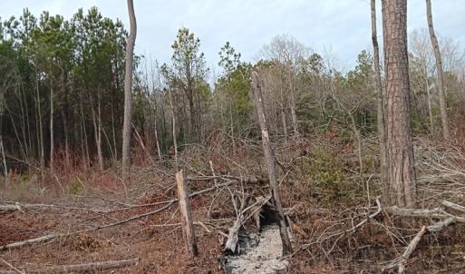 Photo #5 of Lot SHERWOOD DR, BLOXOM, VA 1.0 acres