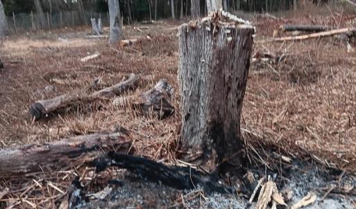 Photo #6 of Lot SHERWOOD DR, BLOXOM, VA 1.0 acres