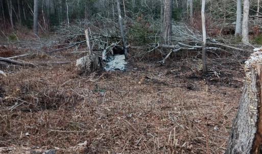 Photo #7 of Lot SHERWOOD DR, BLOXOM, VA 1.0 acres