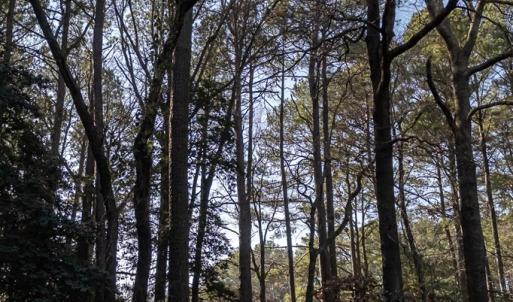 Photo #10 of 208/209 BLUE FISH LN, MACHIPONGO, VA 1.4 acres