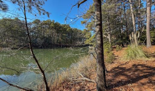 Photo #13 of 208/209 BLUE FISH LN, MACHIPONGO, VA 1.4 acres