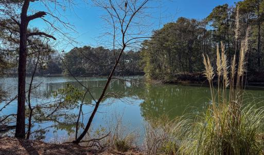 Photo #2 of 208/209 BLUE FISH LN, MACHIPONGO, VA 1.4 acres