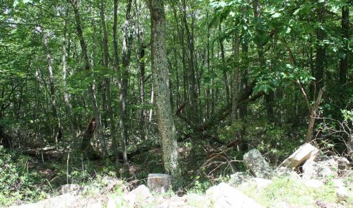 Photo #1 of TBD HIGH VALLEY SOUTH, MONTEREY, VA 5.0 acres
