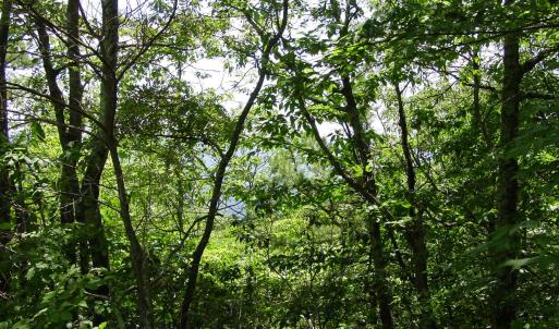 Photo #2 of TBD HIGH VALLEY SOUTH, MONTEREY, VA 5.0 acres