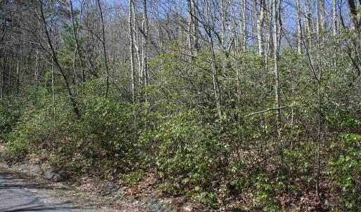 Photo #6 of TBD Summit Dr. SUMMIT DR, MONTEREY, VA 6.8 acres