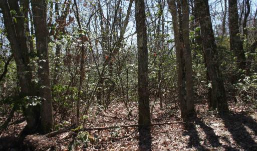 Photo #1 of TBD Summit Dr. SUMMIT DR, MONTEREY, VA 6.8 acres