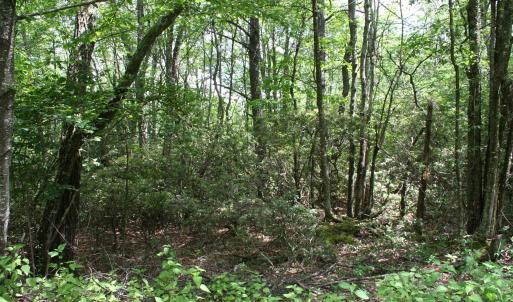 Photo #4 of TBD Summit Dr. SUMMIT DR, MONTEREY, VA 6.8 acres